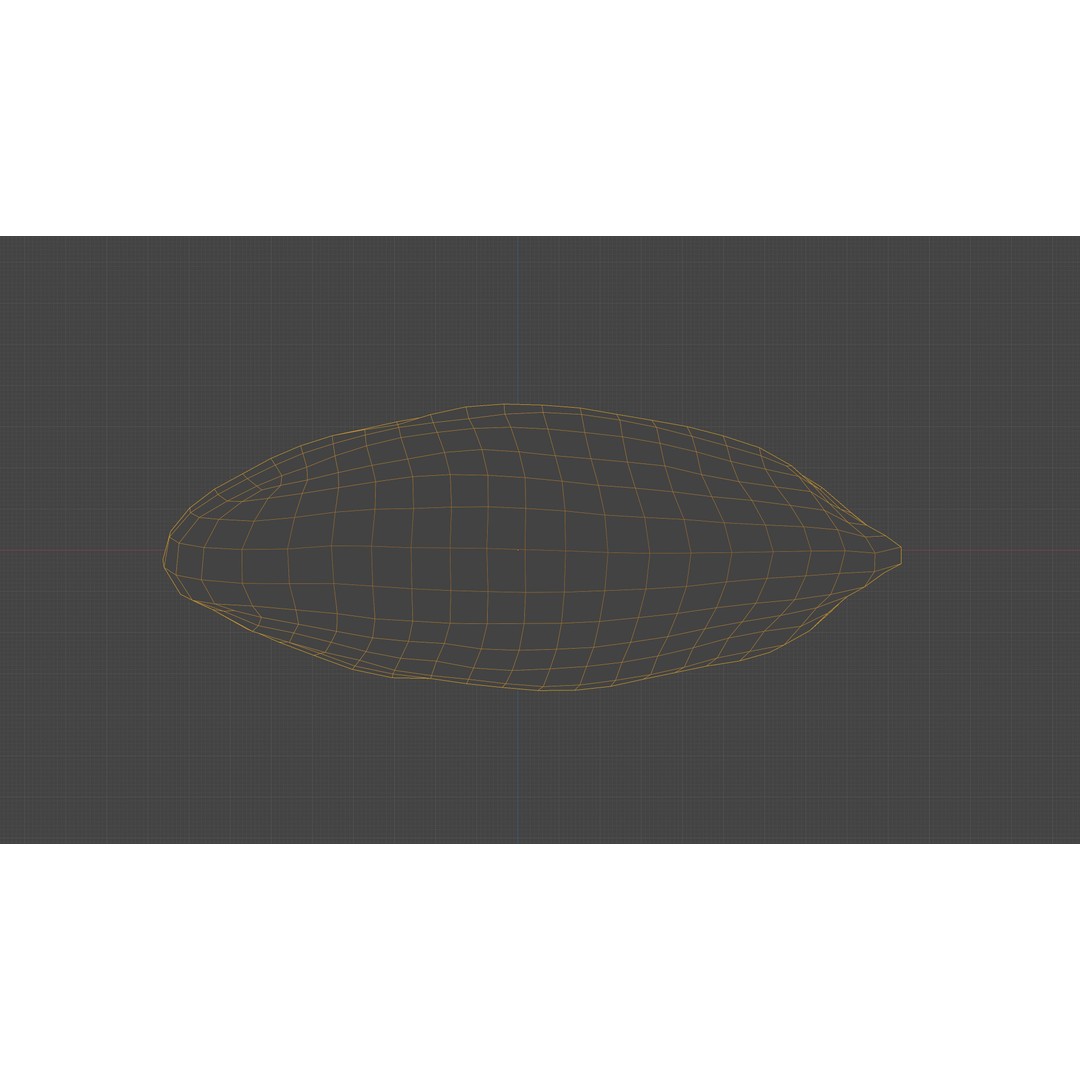 Scanned Almond Nut 3D Model – Low Poly PBR Asset, FBX - View 25