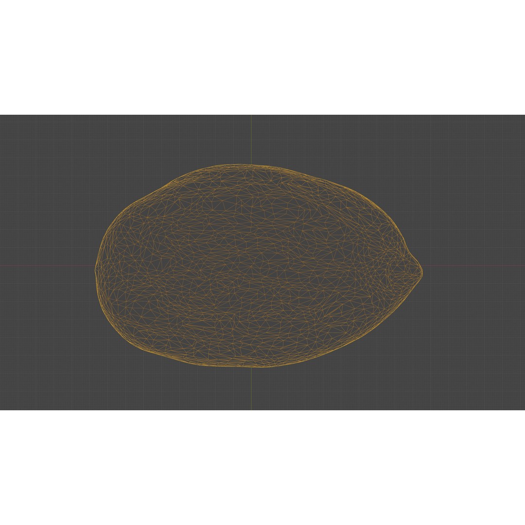Scanned Almond Nut 3D Model – Low Poly PBR Asset, FBX - View 29
