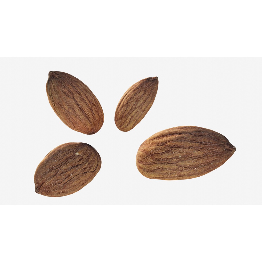 Scanned Almond Nut 3D Model – Low Poly PBR Asset, FBX - View 3