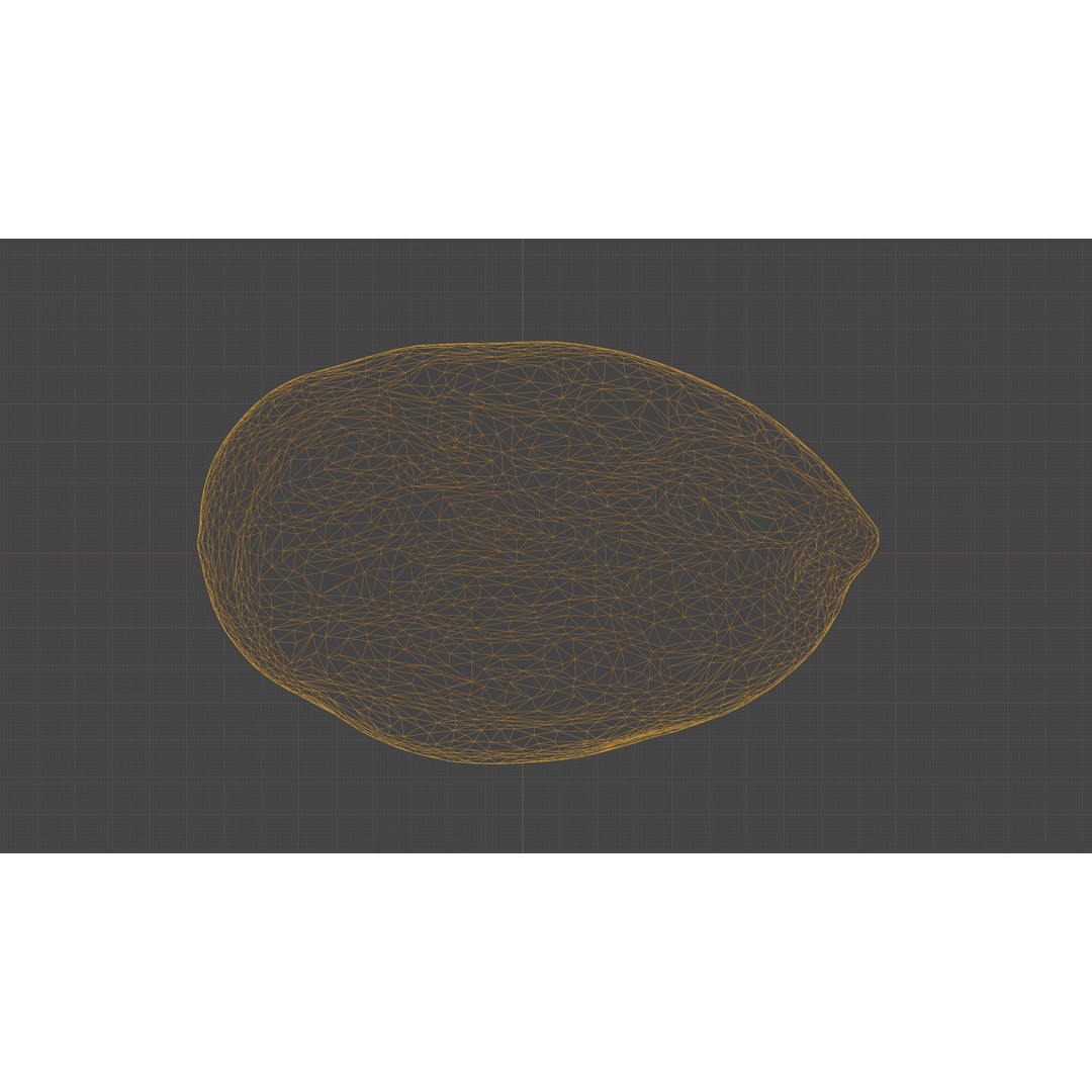 Scanned Almond Nut 3D Model – Low Poly PBR Asset, FBX - View 30