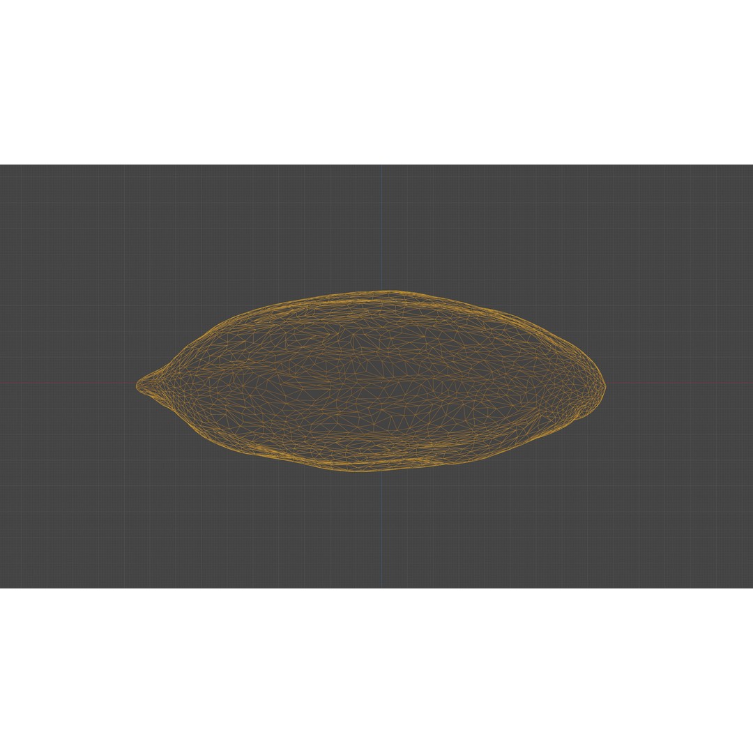 Scanned Almond Nut 3D Model – Low Poly PBR Asset, FBX - View 31
