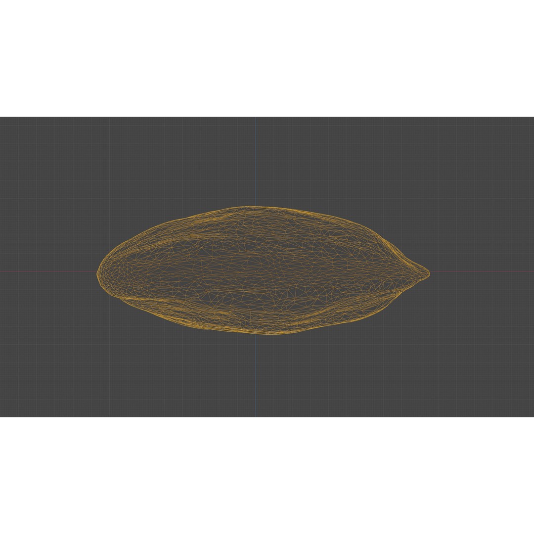 Scanned Almond Nut 3D Model – Low Poly PBR Asset, FBX - View 32