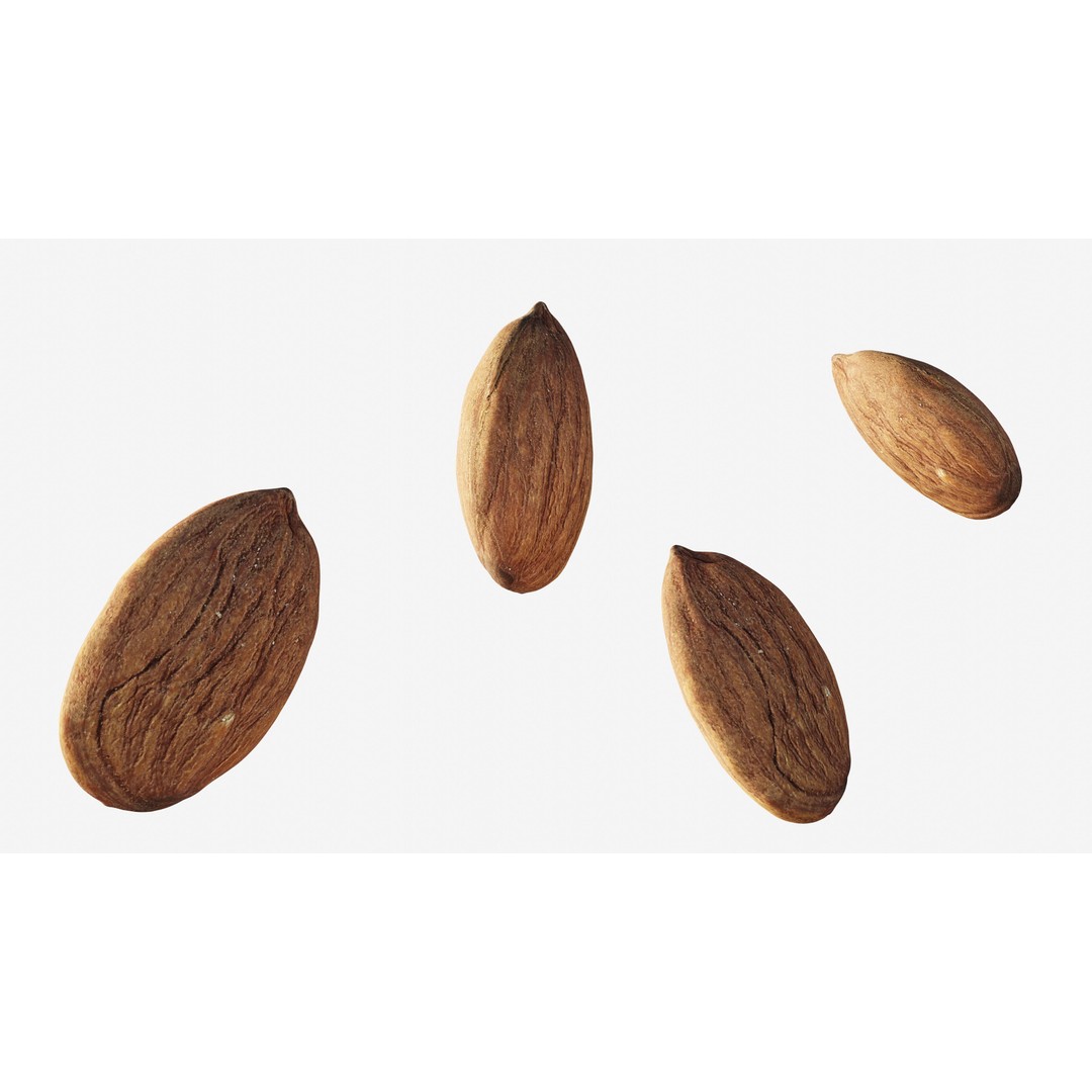 Scanned Almond Nut 3D Model – Low Poly PBR Asset, FBX - View 4