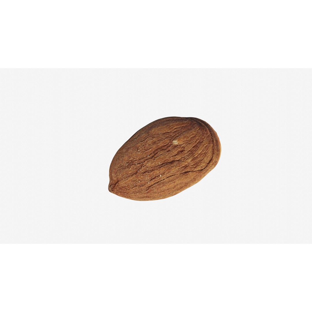 Scanned Almond Nut 3D Model – Low Poly PBR Asset, FBX - View 6