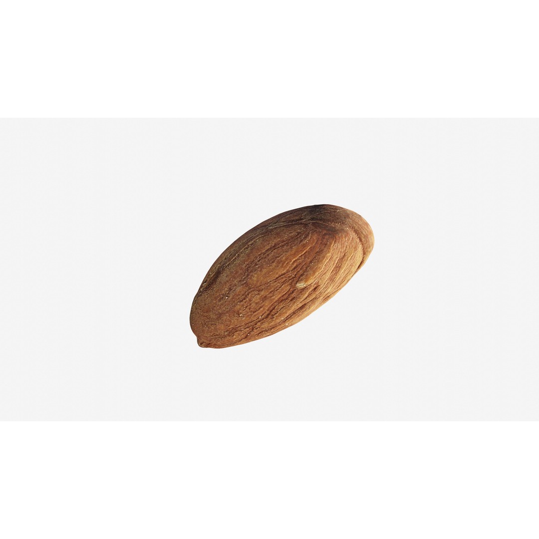 Scanned Almond Nut 3D Model – Low Poly PBR Asset, FBX - View 8