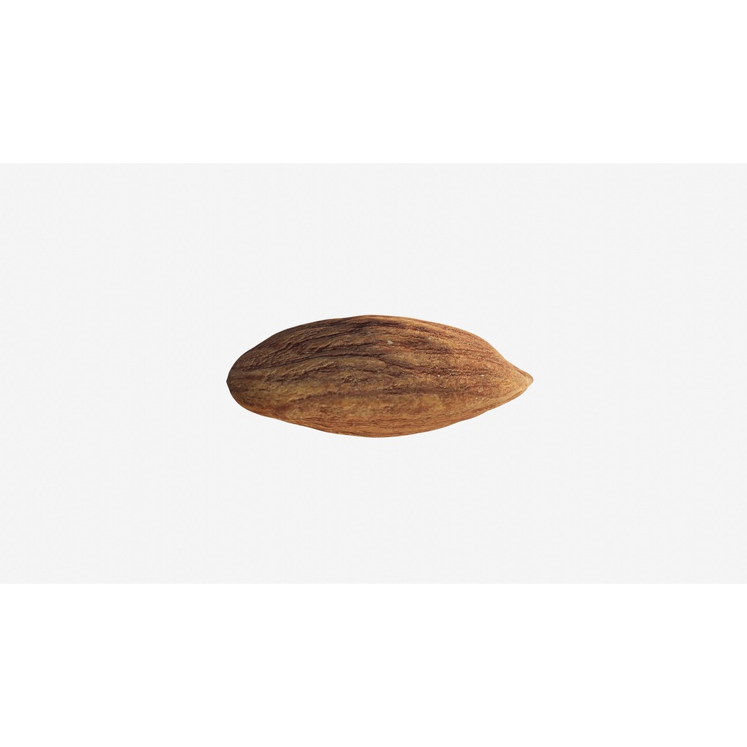 Scanned Almond Nut 3D Model – Low Poly PBR Asset, FBX - View 9