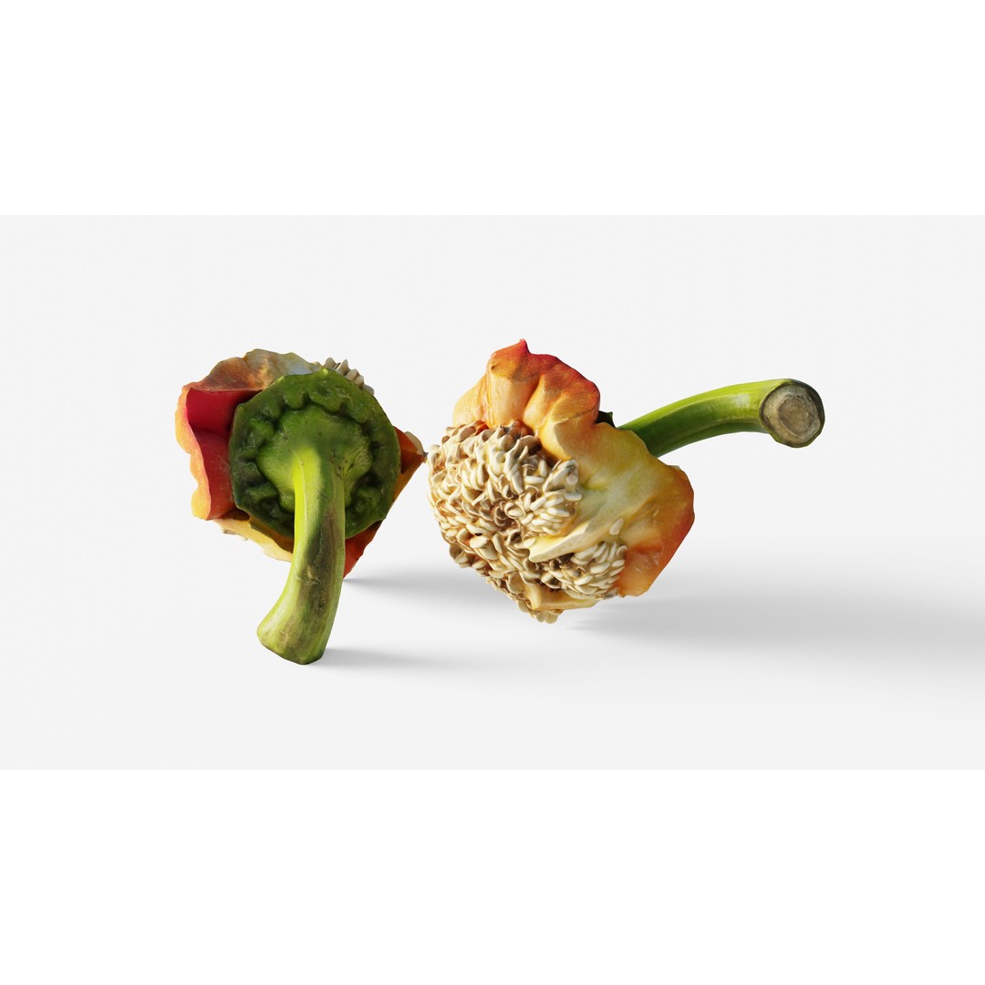 Cut Red Bell Pepper 3D Model – Low Poly PBR Vegetable Asset, FBX - View 11