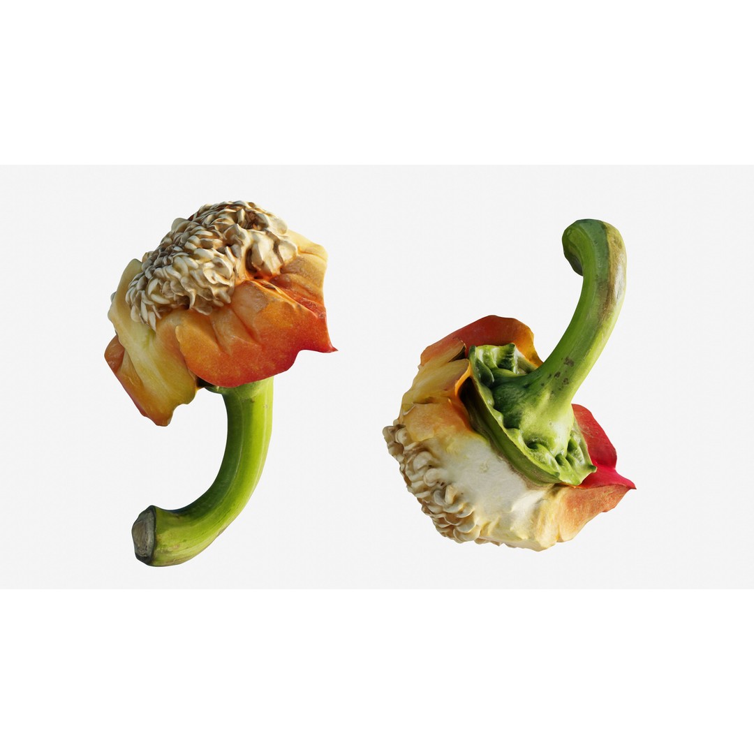 Cut Red Bell Pepper 3D Model – Low Poly PBR Vegetable Asset, FBX - View 12