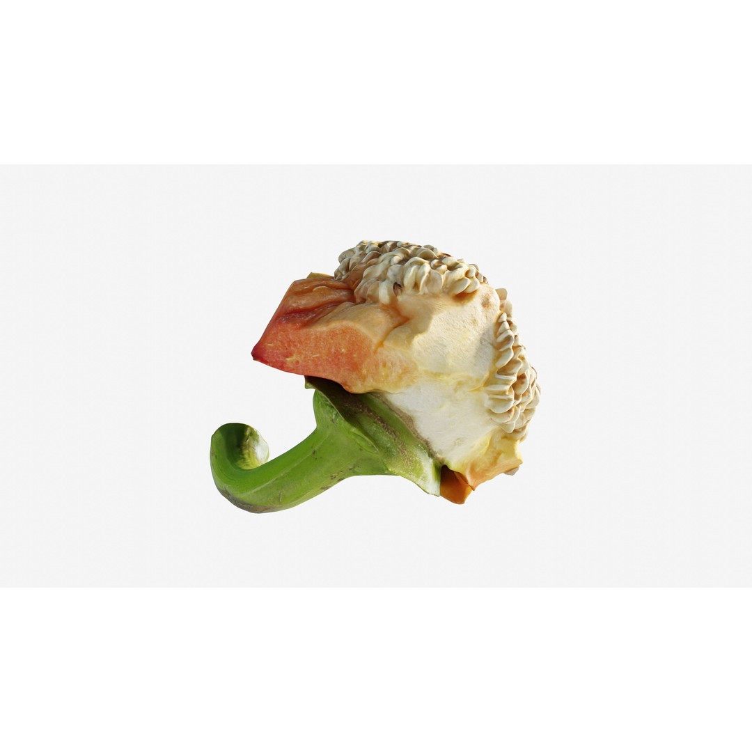 Cut Red Bell Pepper 3D Model – Low Poly PBR Vegetable Asset, FBX - View 13