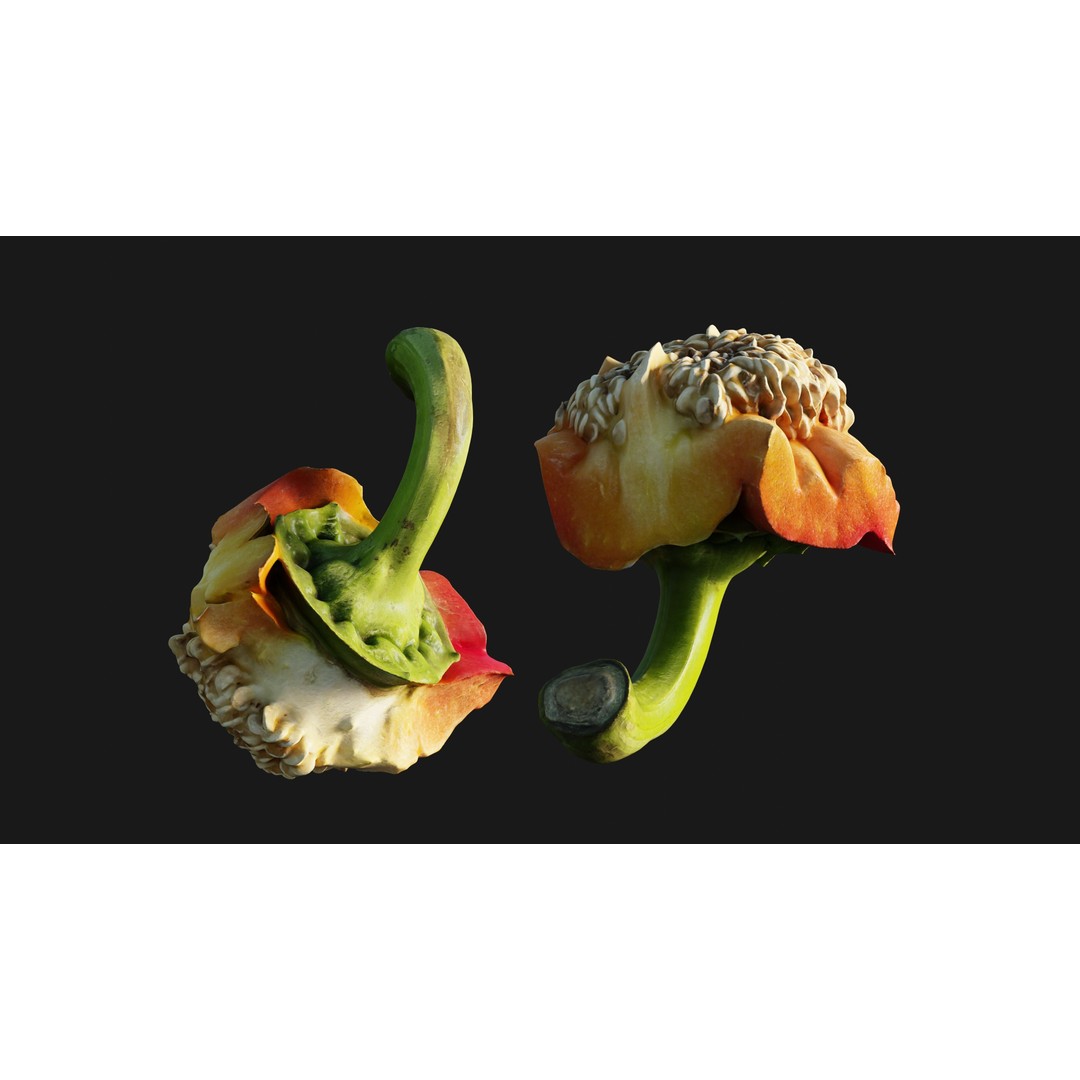 Cut Red Bell Pepper 3D Model – Low Poly PBR Vegetable Asset, FBX - View 16