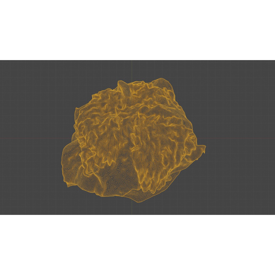 Cut Red Bell Pepper 3D Model – Low Poly PBR Vegetable Asset, FBX - View 19