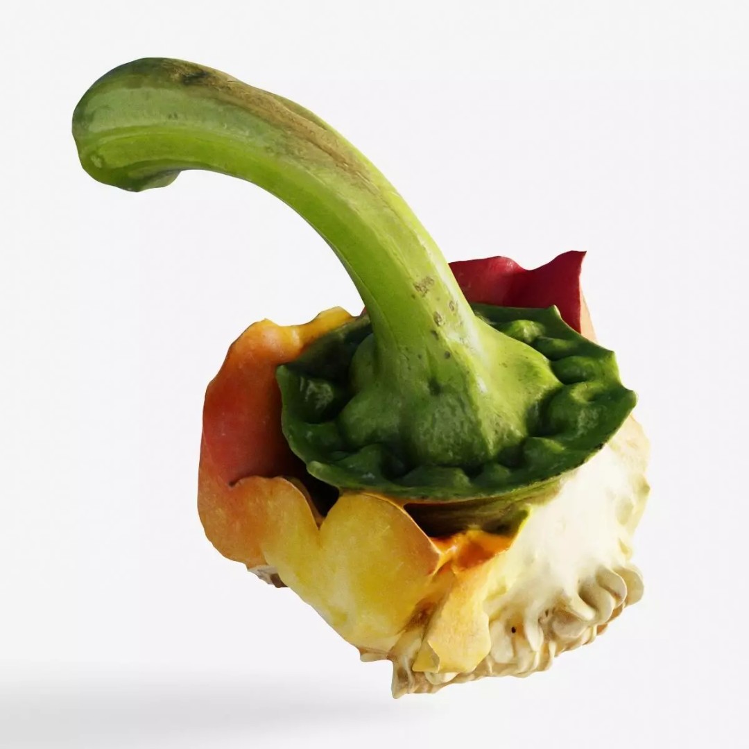 Cut Red Bell Pepper 3D Model – Low Poly PBR Vegetable Asset, FBX - View 2