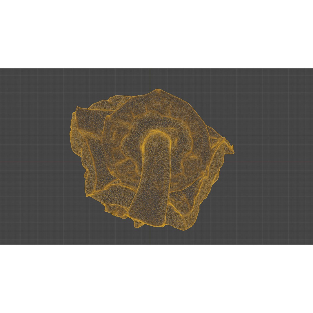 Cut Red Bell Pepper 3D Model – Low Poly PBR Vegetable Asset, FBX - View 20