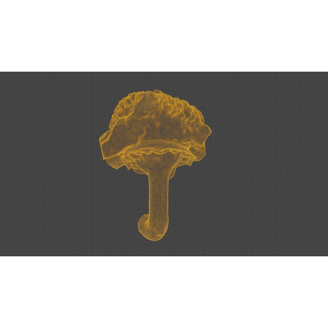 Cut Red Bell Pepper 3D Model – Low Poly PBR Vegetable Asset, FBX - View 21