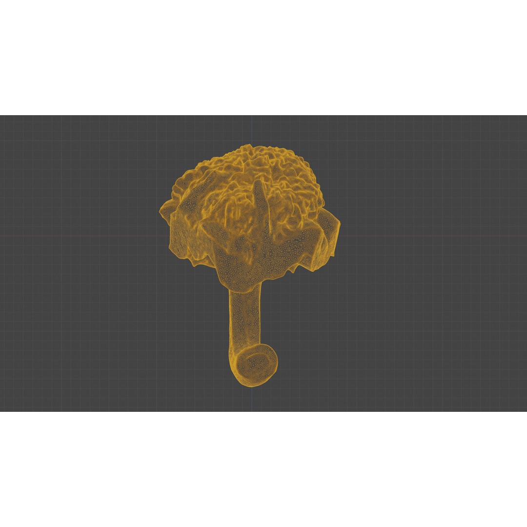 Cut Red Bell Pepper 3D Model – Low Poly PBR Vegetable Asset, FBX - View 22