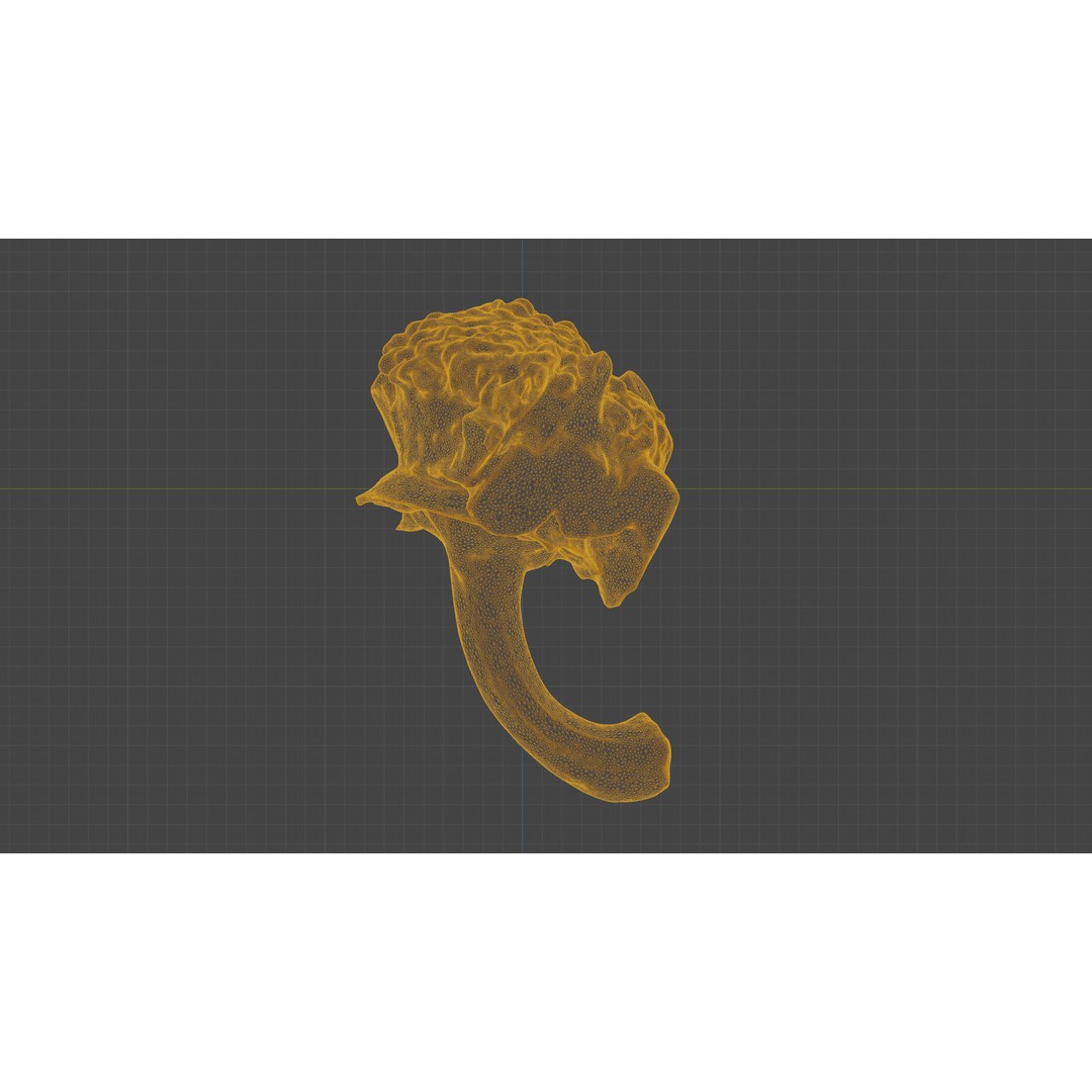 Cut Red Bell Pepper 3D Model – Low Poly PBR Vegetable Asset, FBX - View 23