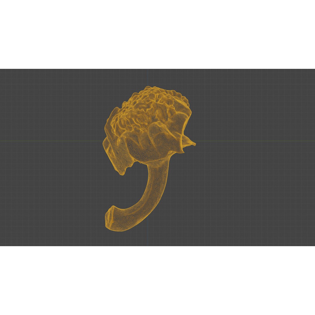 Cut Red Bell Pepper 3D Model – Low Poly PBR Vegetable Asset, FBX - View 24