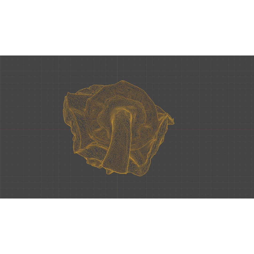 Cut Red Bell Pepper 3D Model – Low Poly PBR Vegetable Asset, FBX - View 26