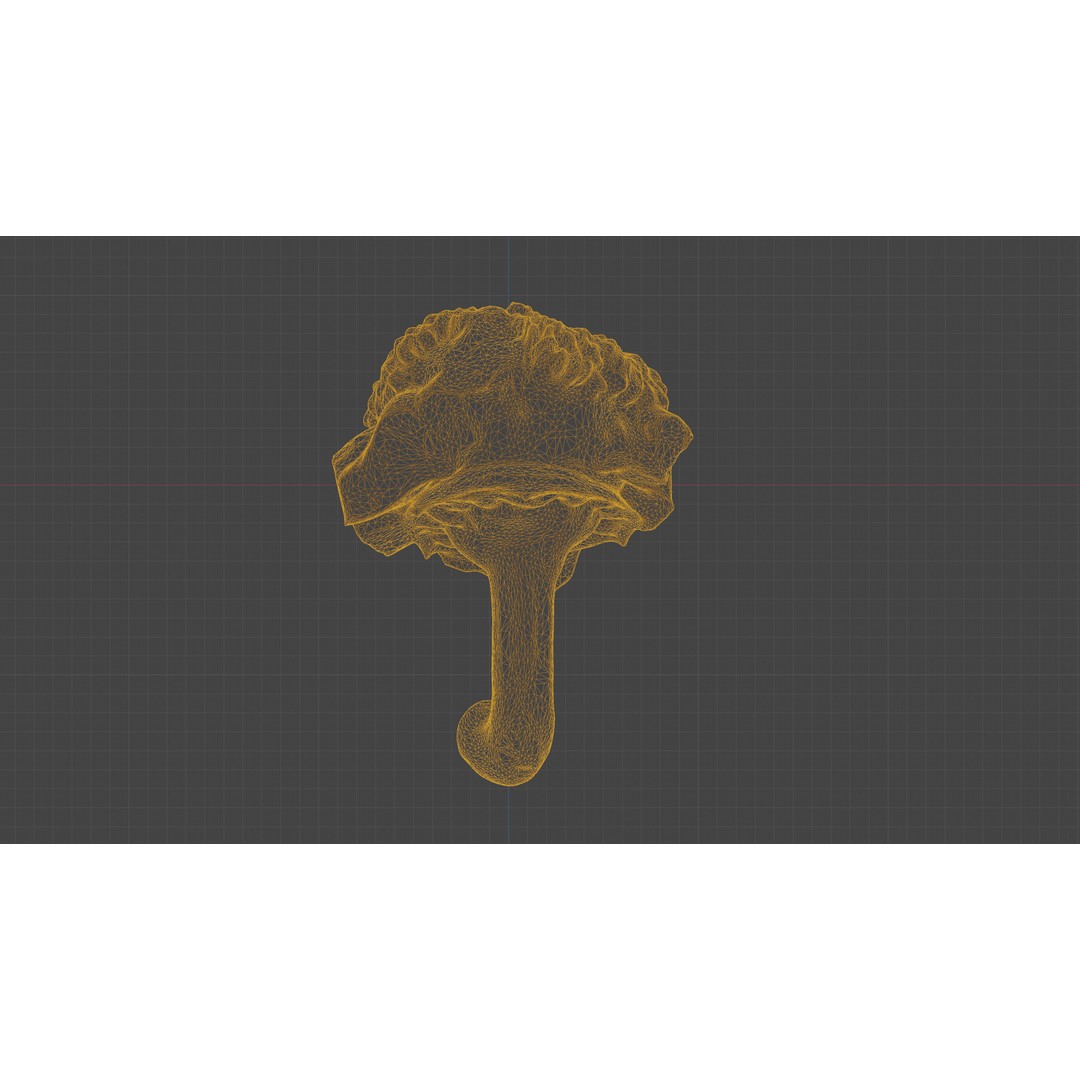 Cut Red Bell Pepper 3D Model – Low Poly PBR Vegetable Asset, FBX - View 27