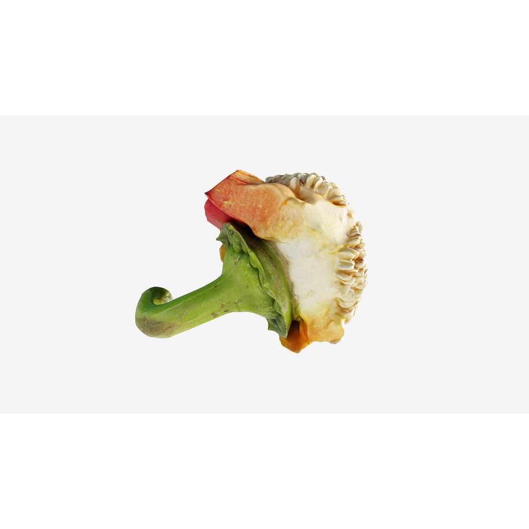 Cut Red Bell Pepper 3D Model – Low Poly PBR Vegetable Asset, FBX - View 7