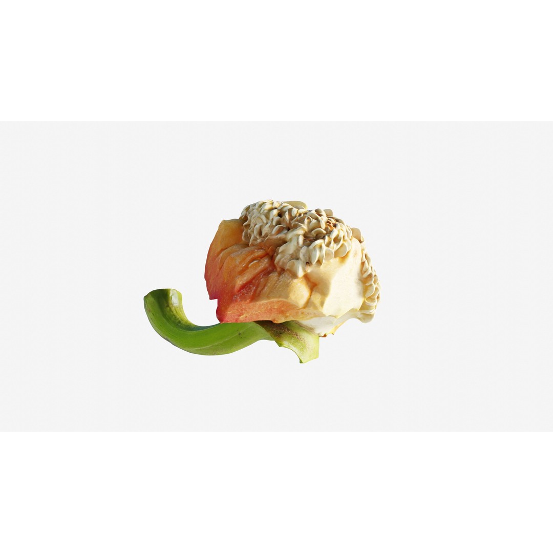 Cut Red Bell Pepper 3D Model – Low Poly PBR Vegetable Asset, FBX - View 8