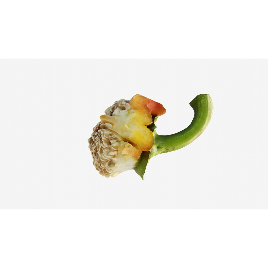 Cut Red Bell Pepper 3D Model – Low Poly PBR Vegetable Asset, FBX - View 9