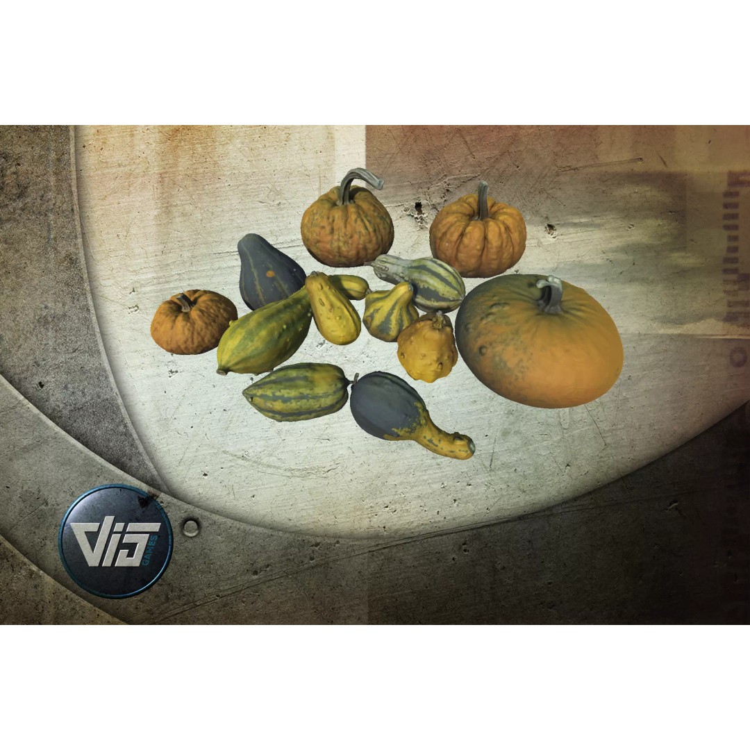 Scanned Pumpkins 3D Model – Low Poly Halloween Decoration, FBX, OBJ - View 2