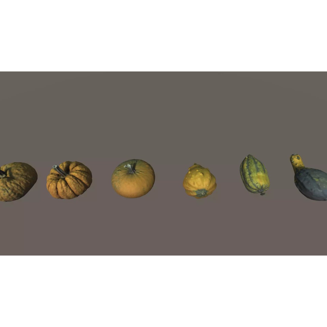 Scanned Pumpkins 3D Model – Low Poly Halloween Decoration, FBX, OBJ - View 6