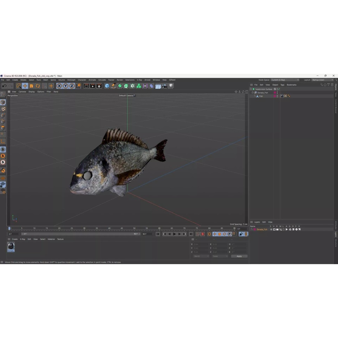 Dorada Fish 3D Model – High Quality PBR Marine Asset, FBX