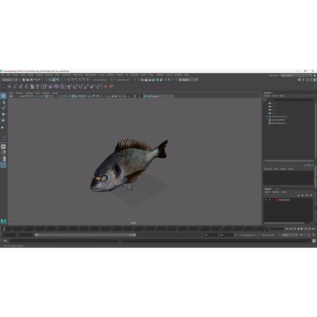 Dorada Fish 3D Model – High Quality PBR Marine Asset, FBX - View 17