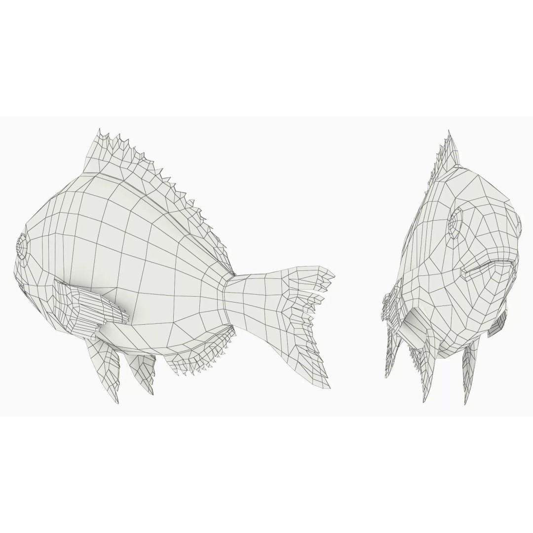 Dorada Fish 3D Model – High Quality PBR Marine Asset, FBX - View 8