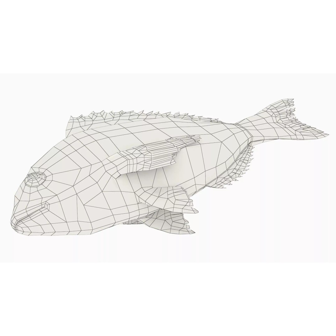 Dorada Fish 3D Model – High Quality PBR Marine Asset, FBX - View 9