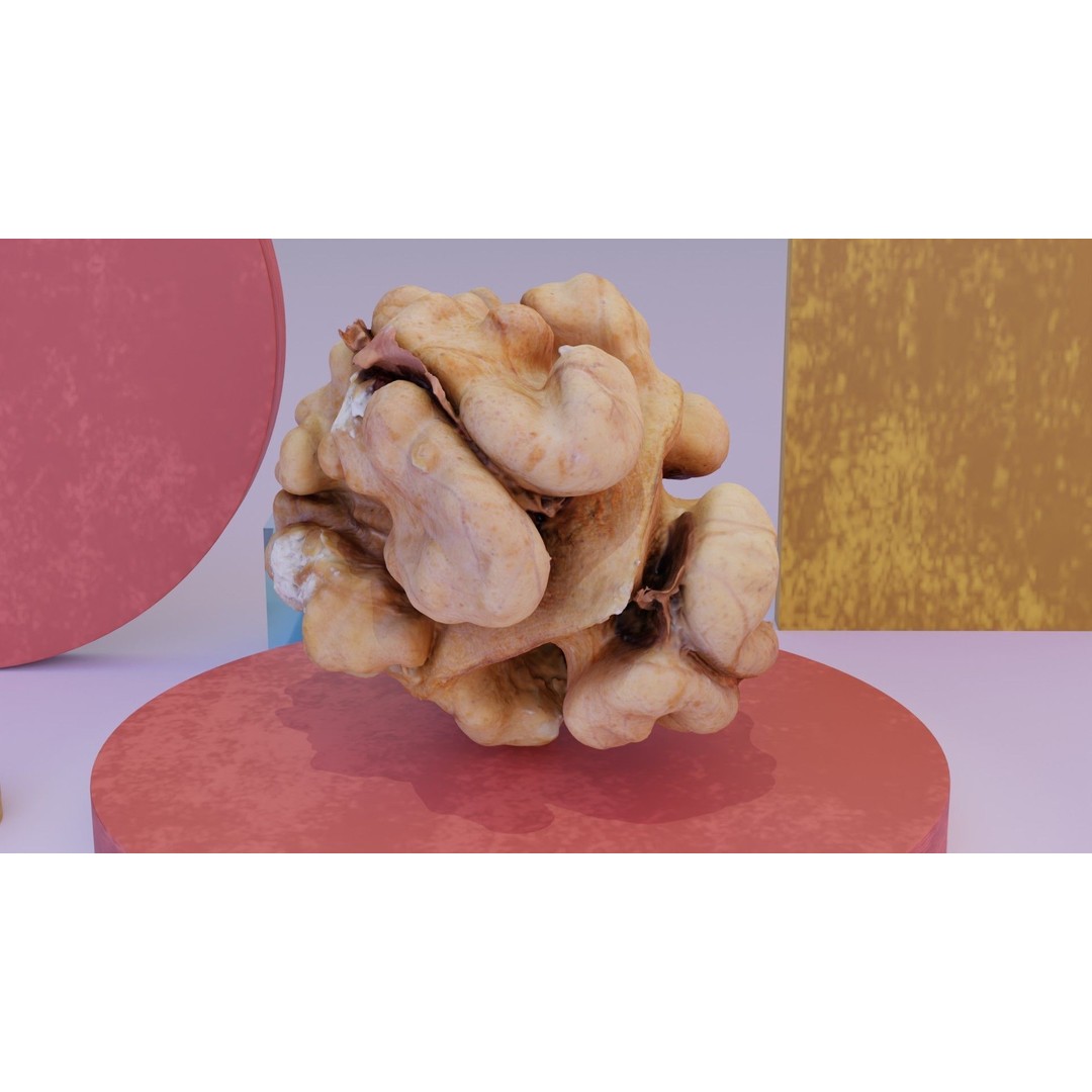 Walnut Kernel 3D Model – High Poly PBR Asset for Rendering - View 11