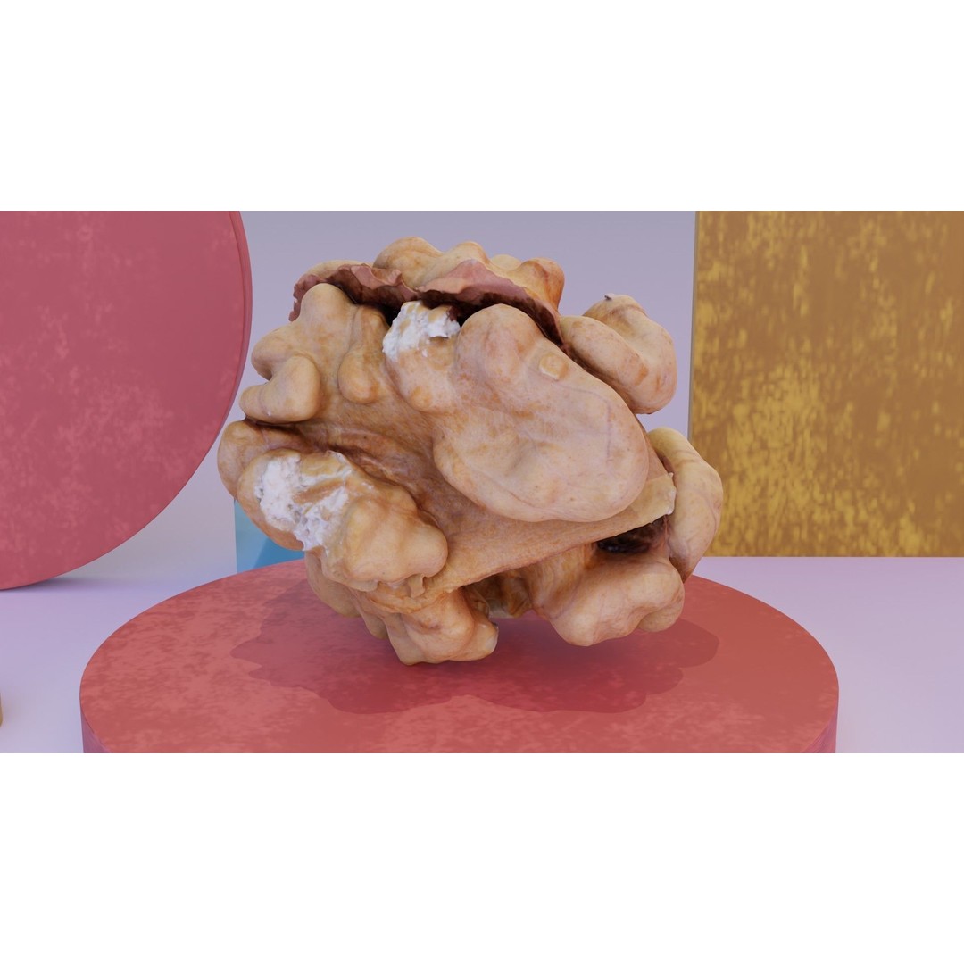 Walnut Kernel 3D Model – High Poly PBR Asset for Rendering - View 12
