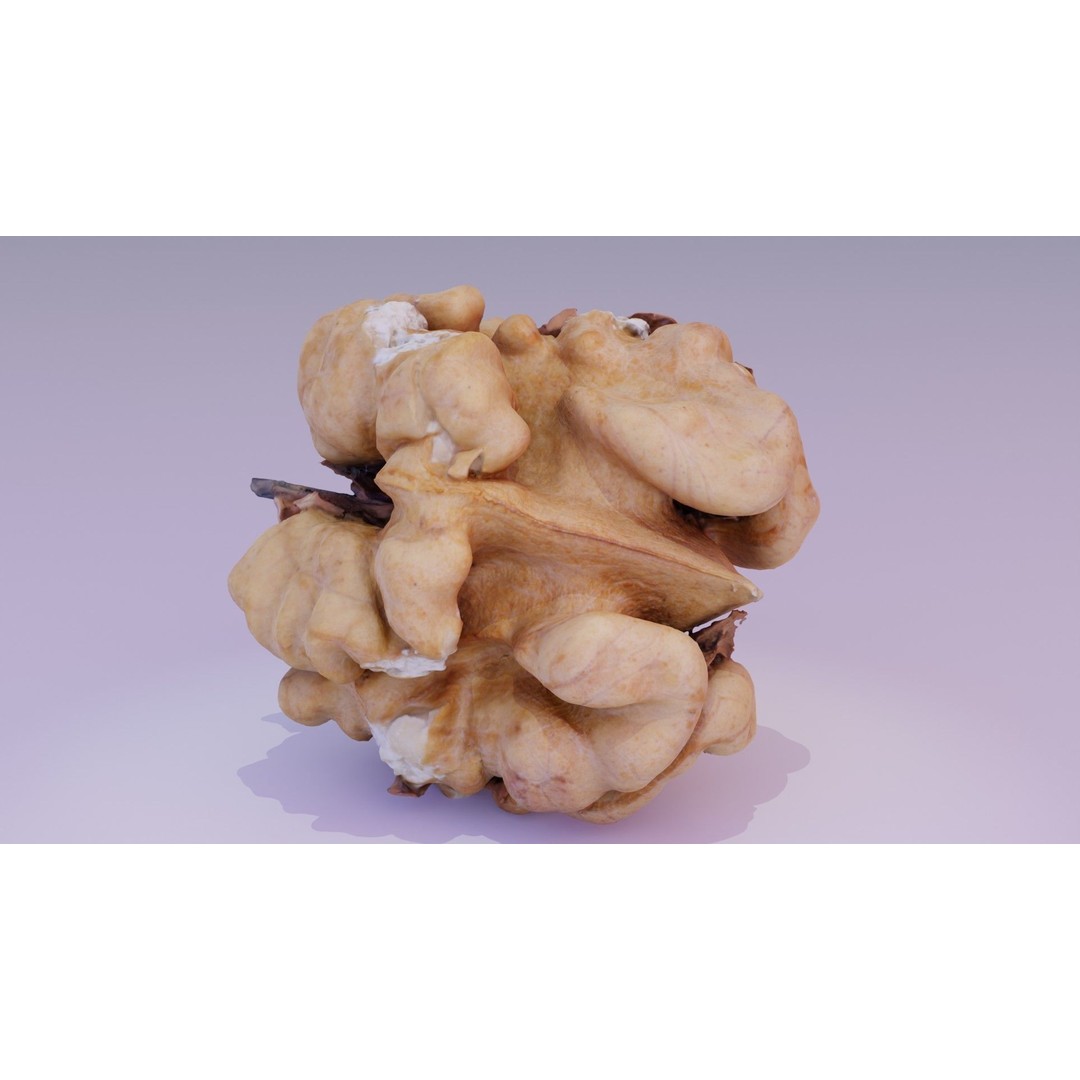 Walnut Kernel 3D Model – High Poly PBR Asset for Rendering - View 21