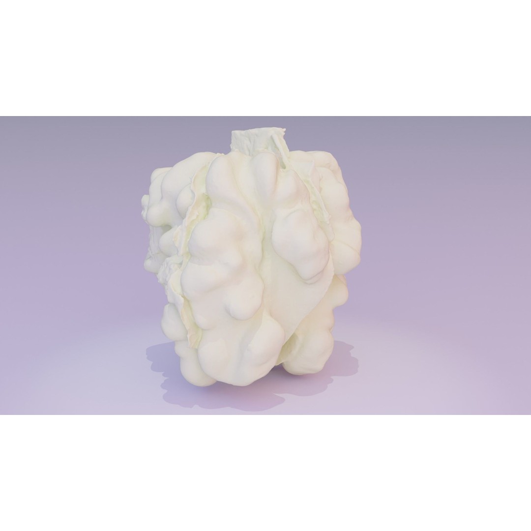 Walnut Kernel 3D Model – High Poly PBR Asset for Rendering - View 22