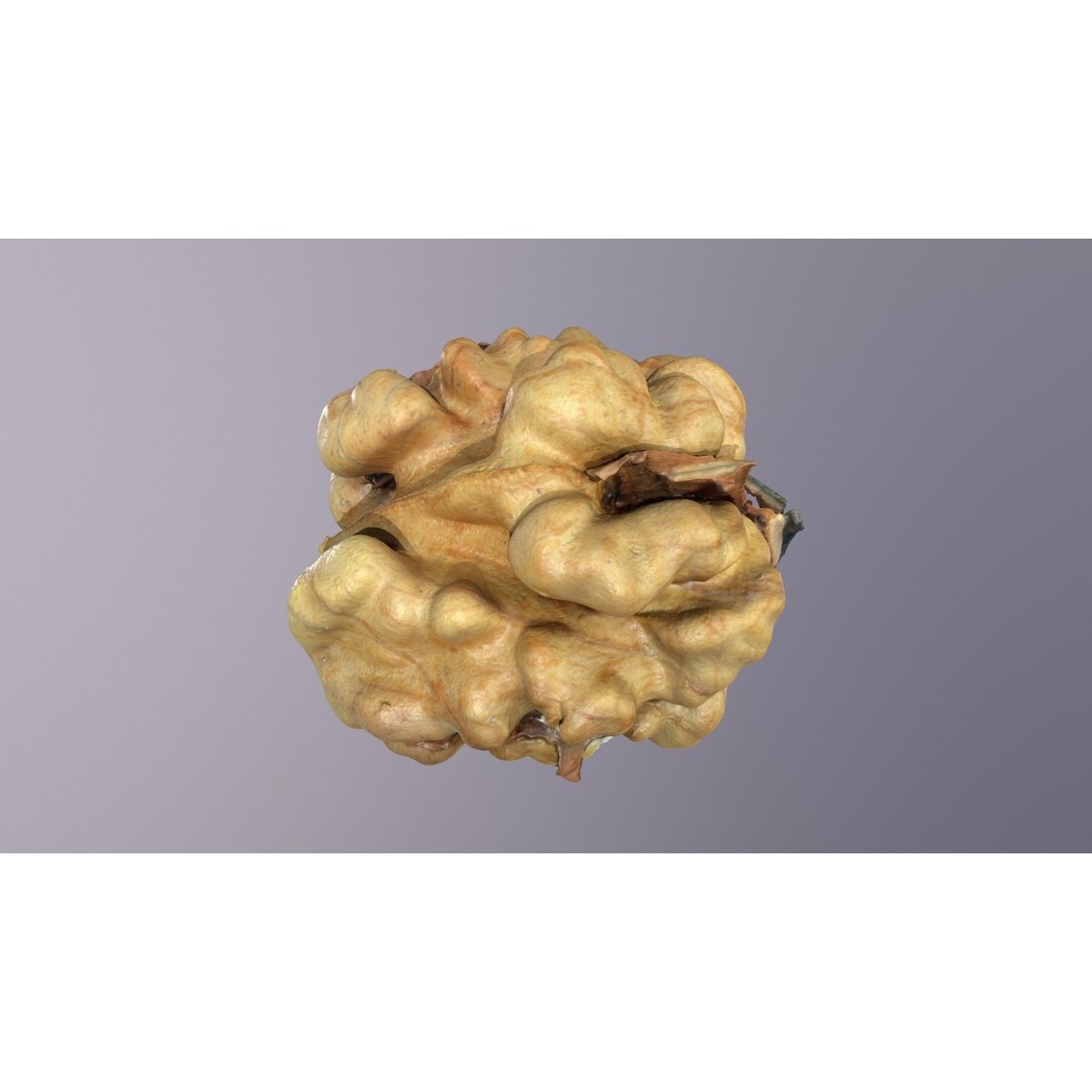 Walnut Kernel 3D Model – High Poly PBR Asset for Rendering - View 23