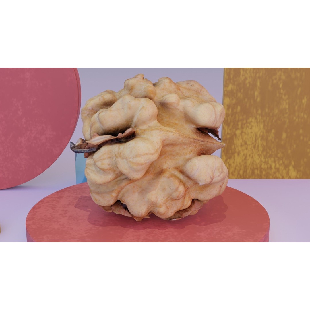 Walnut Kernel 3D Model – High Poly PBR Asset for Rendering - View 3
