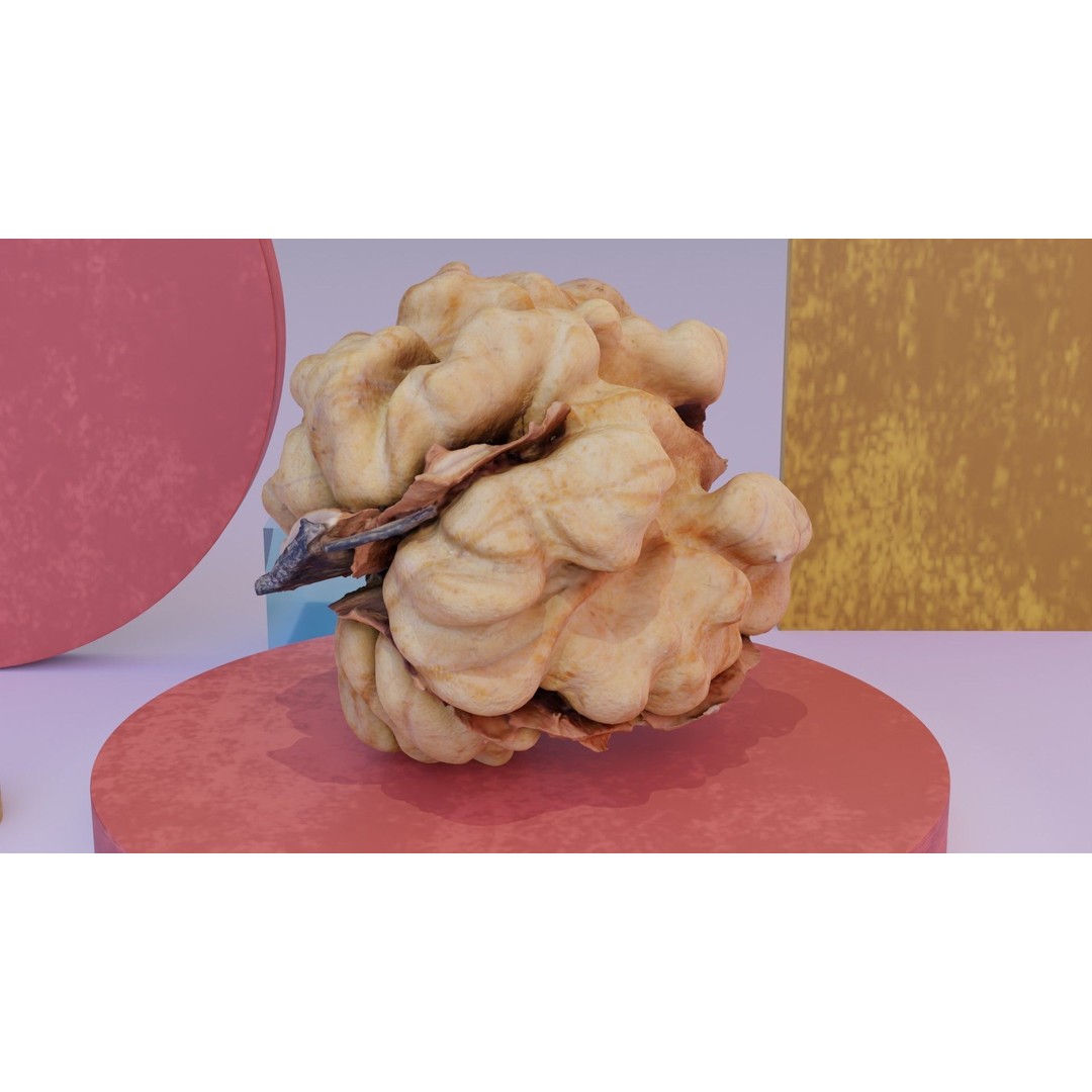Walnut Kernel 3D Model – High Poly PBR Asset for Rendering - View 4