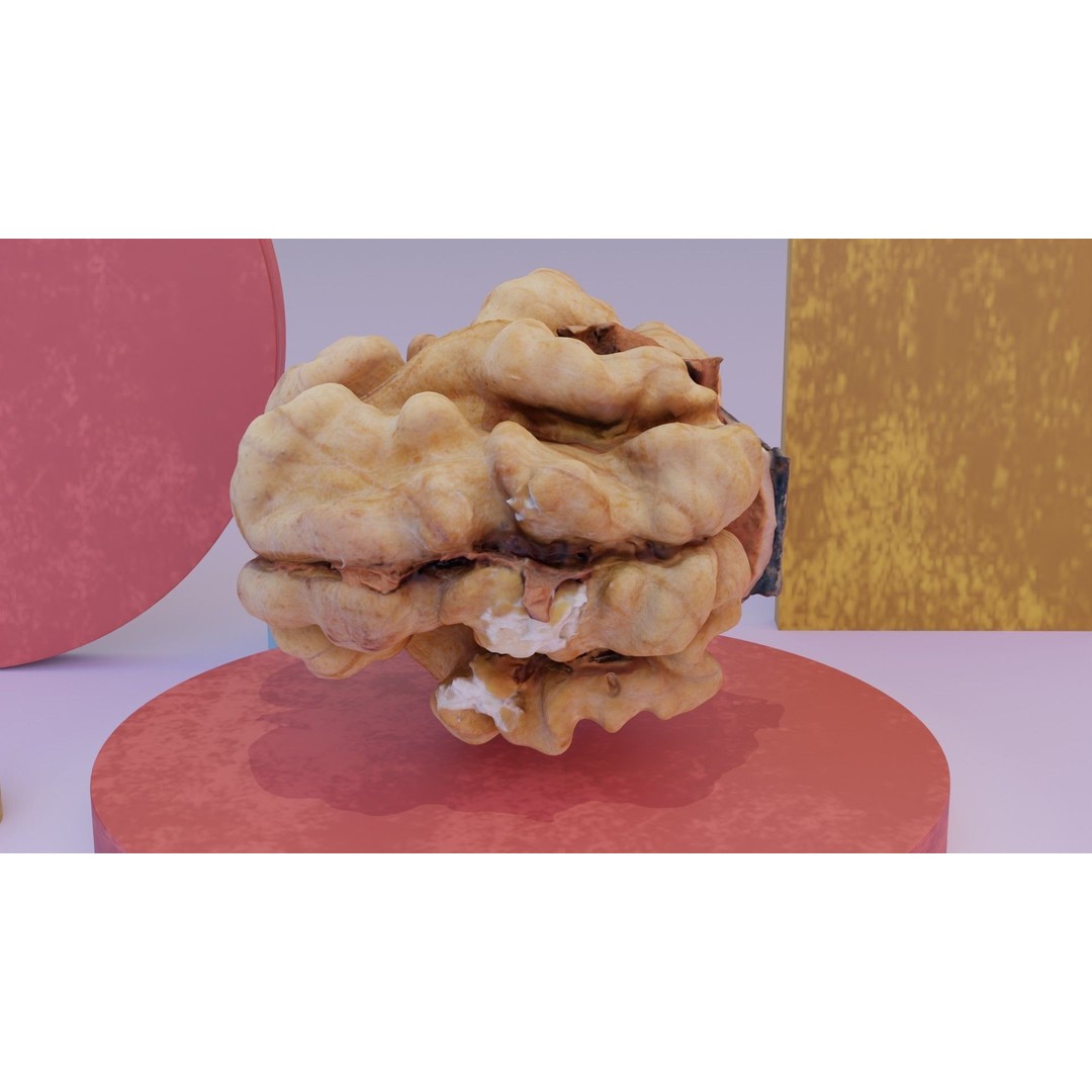 Walnut Kernel 3D Model – High Poly PBR Asset for Rendering - View 8