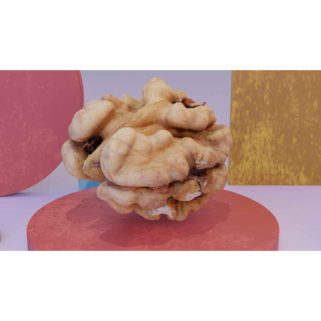 Walnut Kernel 3D Model – High Poly PBR Asset for Rendering - View 9