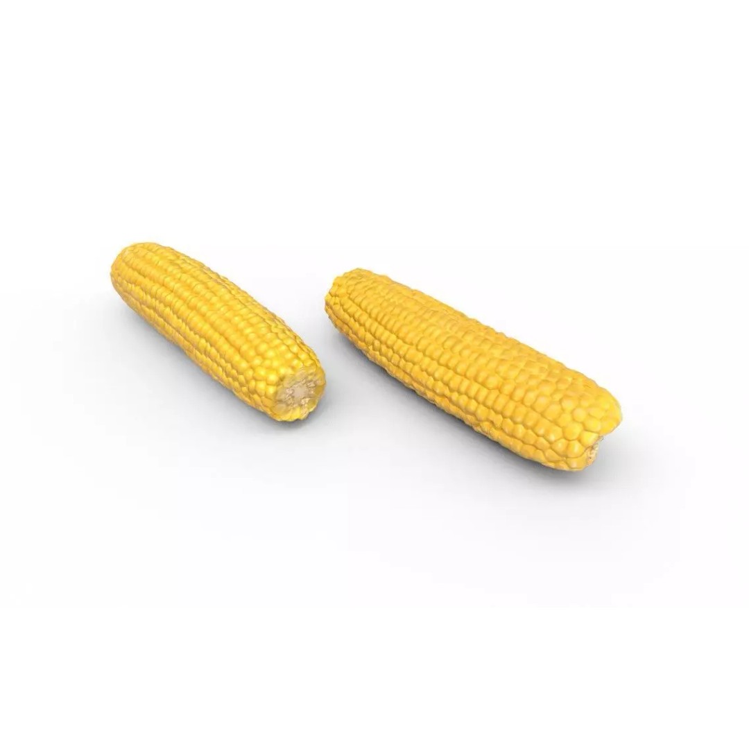 Corn 3D Model – Low Poly Game Asset, FBX, PBR Textures - View 5