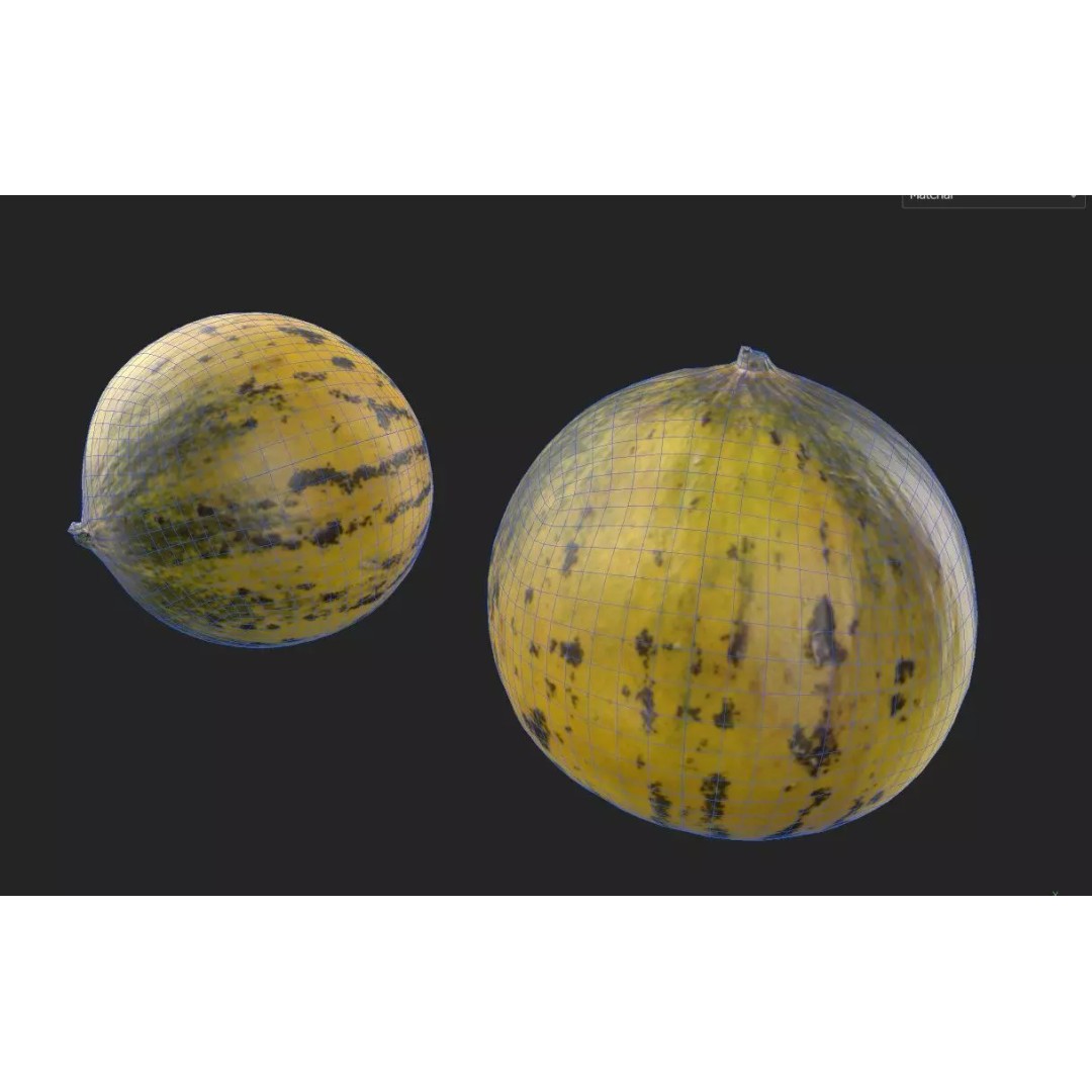 Melon 3D Model – Low Poly Game Asset, FBX, PBR Textures