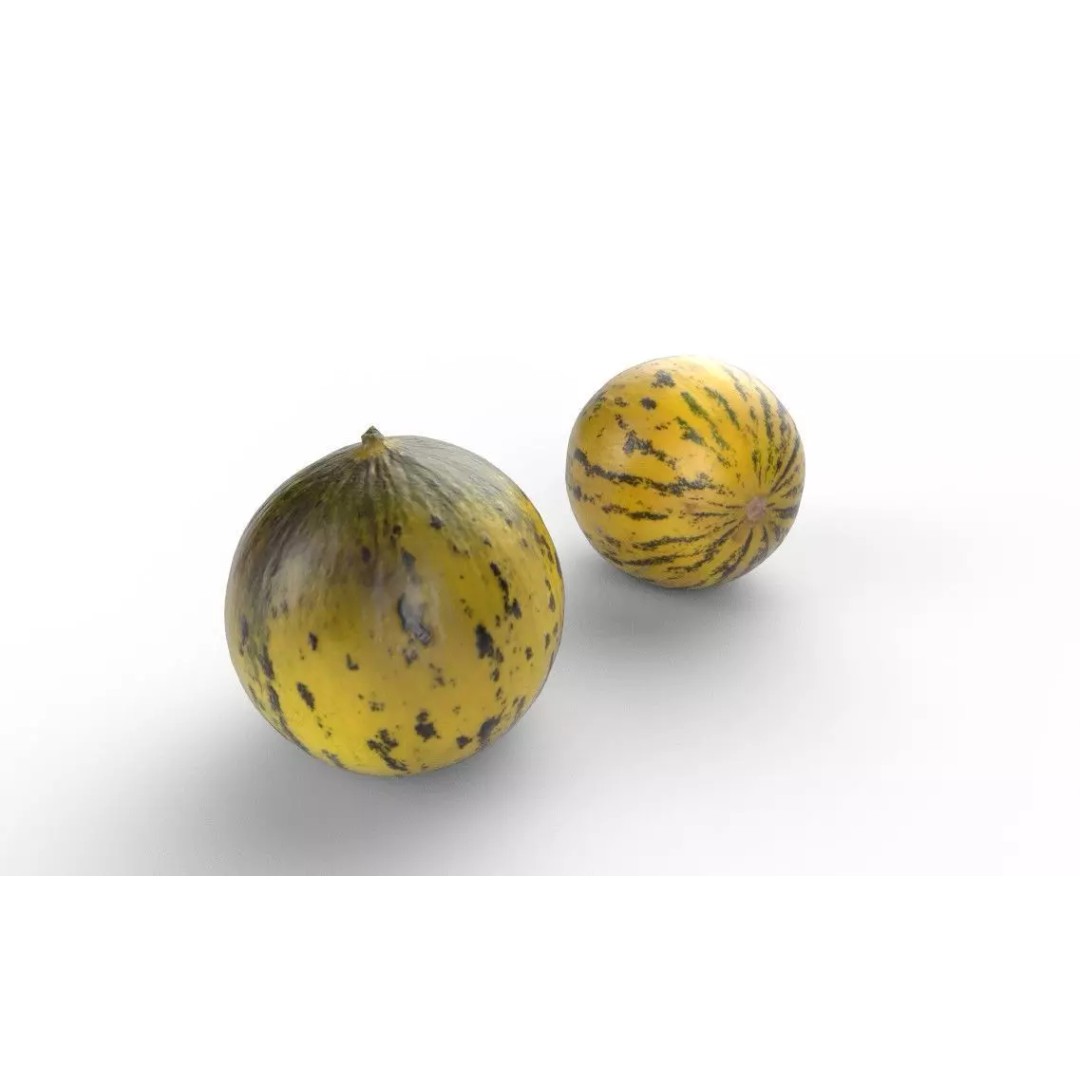 Melon 3D Model – Low Poly Game Asset, FBX, PBR Textures - View 2
