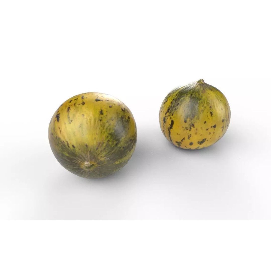 Melon 3D Model – Low Poly Game Asset, FBX, PBR Textures - View 6