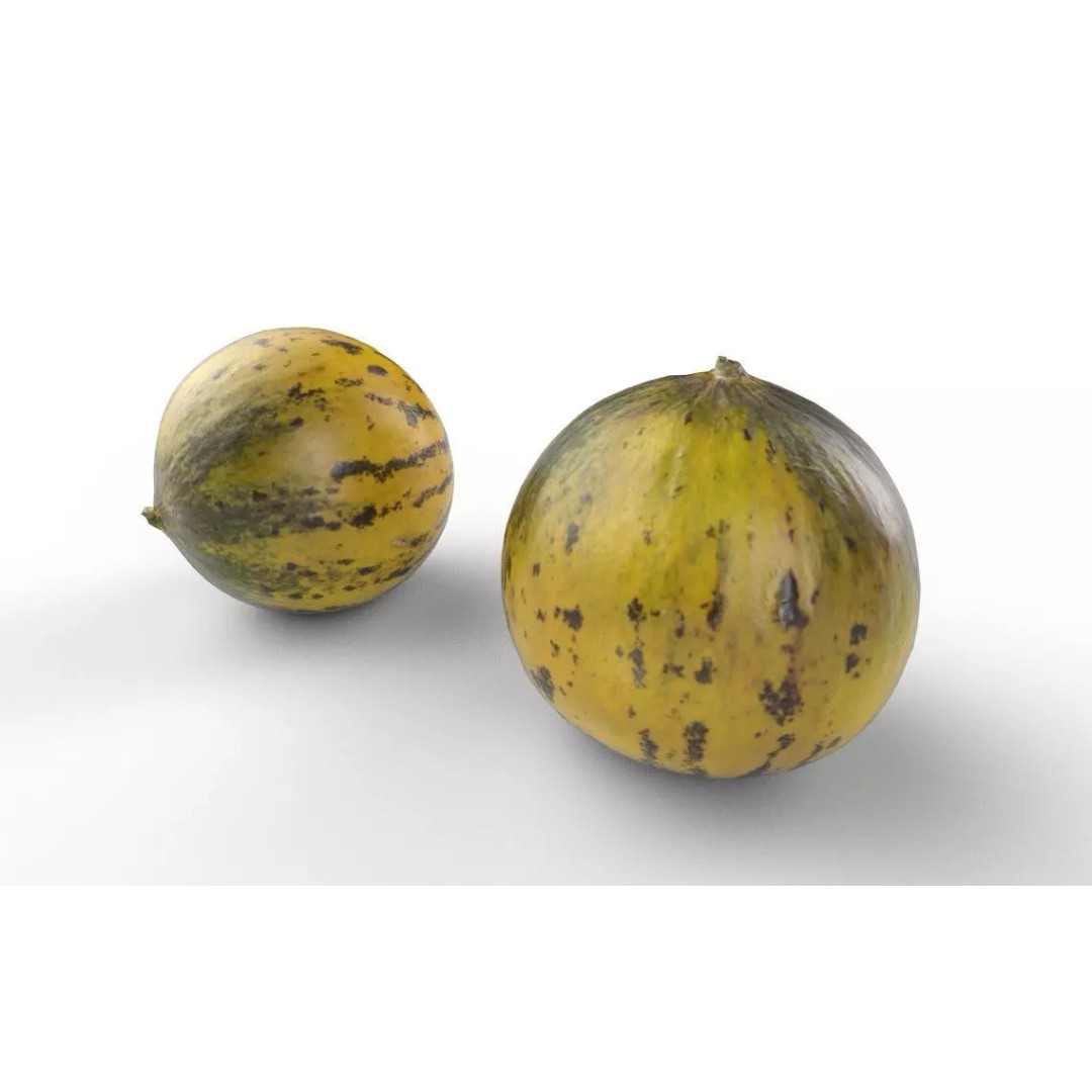 Melon 3D Model – Low Poly Game Asset, FBX, PBR Textures - View 7
