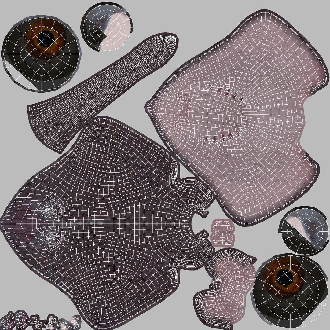 Bathyraja Lindbergi Gray 3D Model – High Poly PBR Skate Fish, FBX - View 18