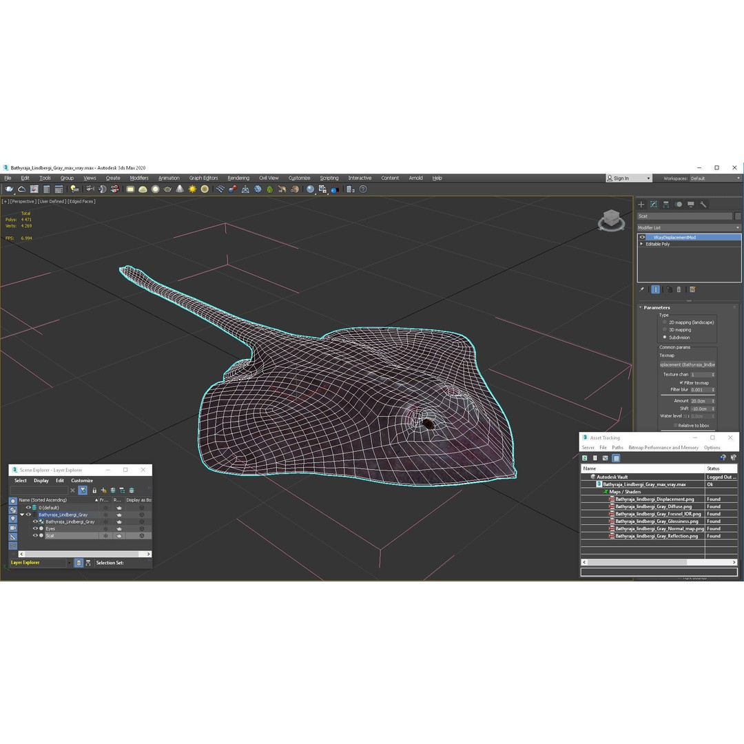 Bathyraja Lindbergi Gray 3D Model – High Poly PBR Skate Fish, FBX - View 20