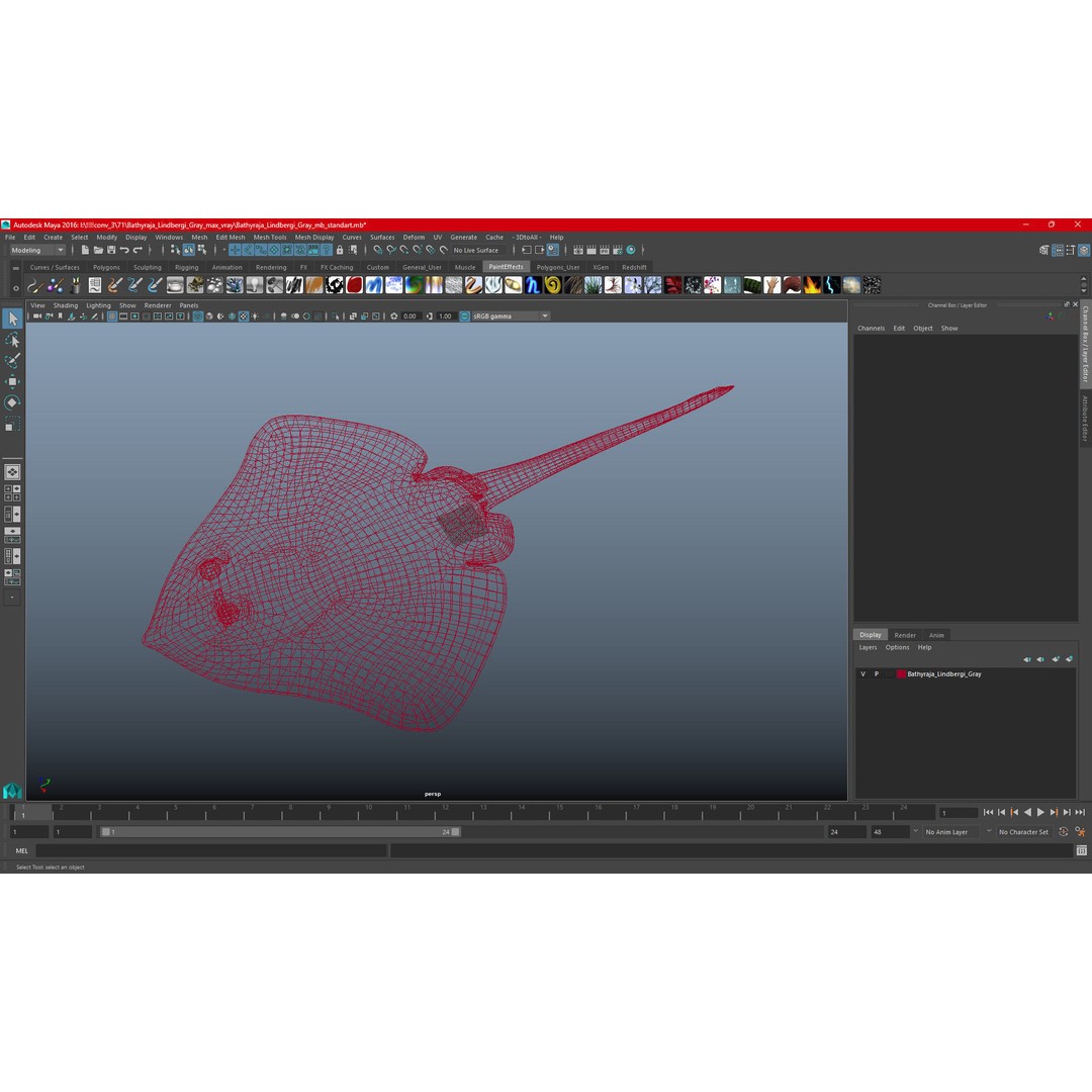 Bathyraja Lindbergi Gray 3D Model – High Poly PBR Skate Fish, FBX - View 22