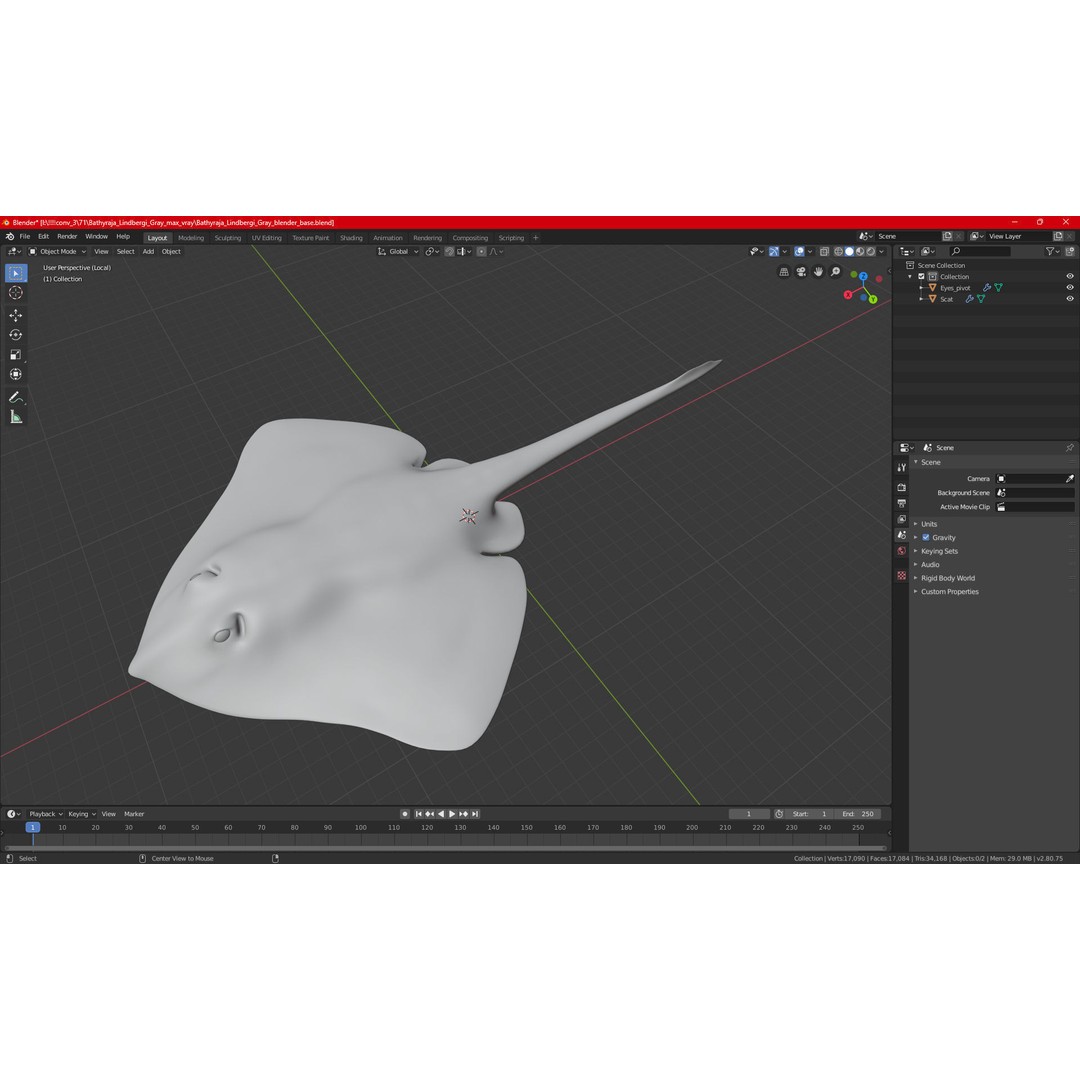 Bathyraja Lindbergi Gray 3D Model – High Poly PBR Skate Fish, FBX - View 23